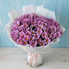 Букет цветов из:  Хризантемы в Горки Ленинские
