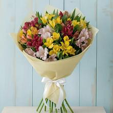 Букет цветов из:  Альстромерии #REPLACE_PRED# Горки Ленинские